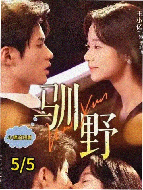 夜航西飞 都市成长小说封面